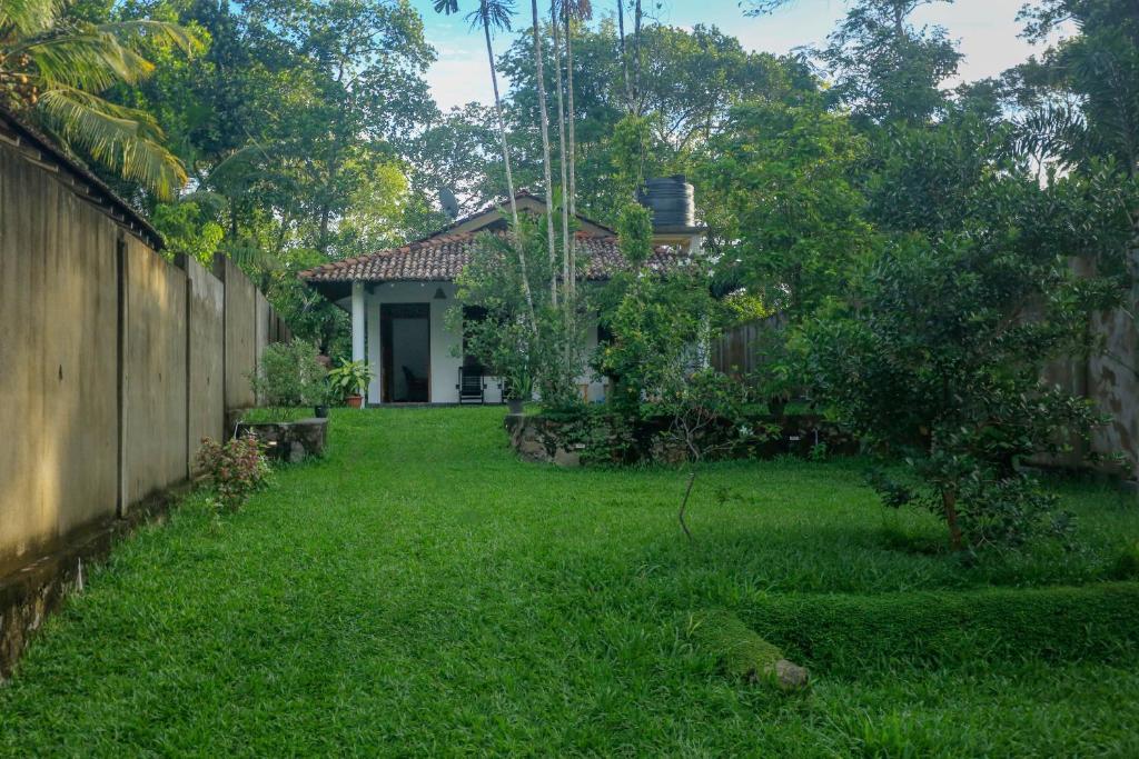 Κήπος έξω από το Meryvilla