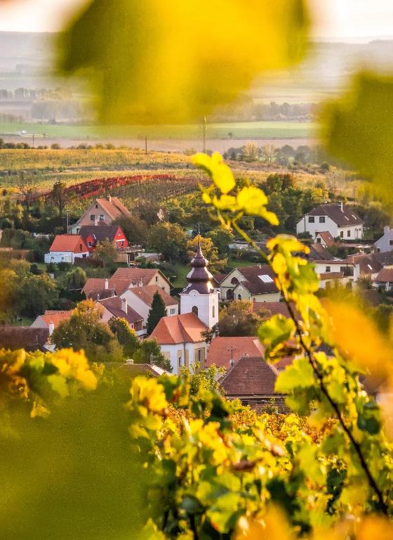 Příroda nedaleko penzionu – hostince