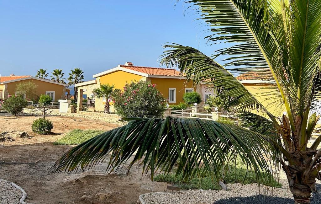 a palm tree in front of a house at Palombella - Stella Maris Exclusive in Calheta Do Maio