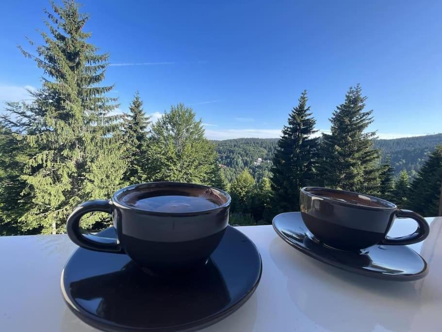 two cups of coffee sitting on plates on a table at Studio Čuvarkuća in Kopaonik