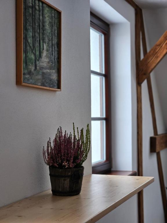 Fotografie z fotogalerie ubytování Apartmány Karolína - Kašperské Hory v Kašperských Horách