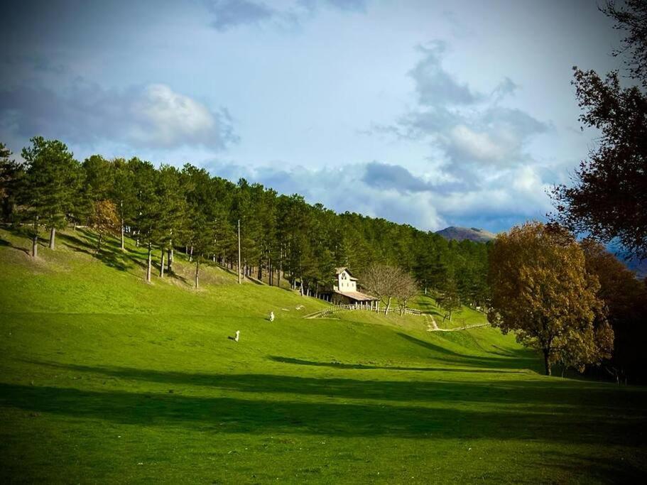 Lomamökki – golfaamista majoituspaikan alueella tai lähistöllä