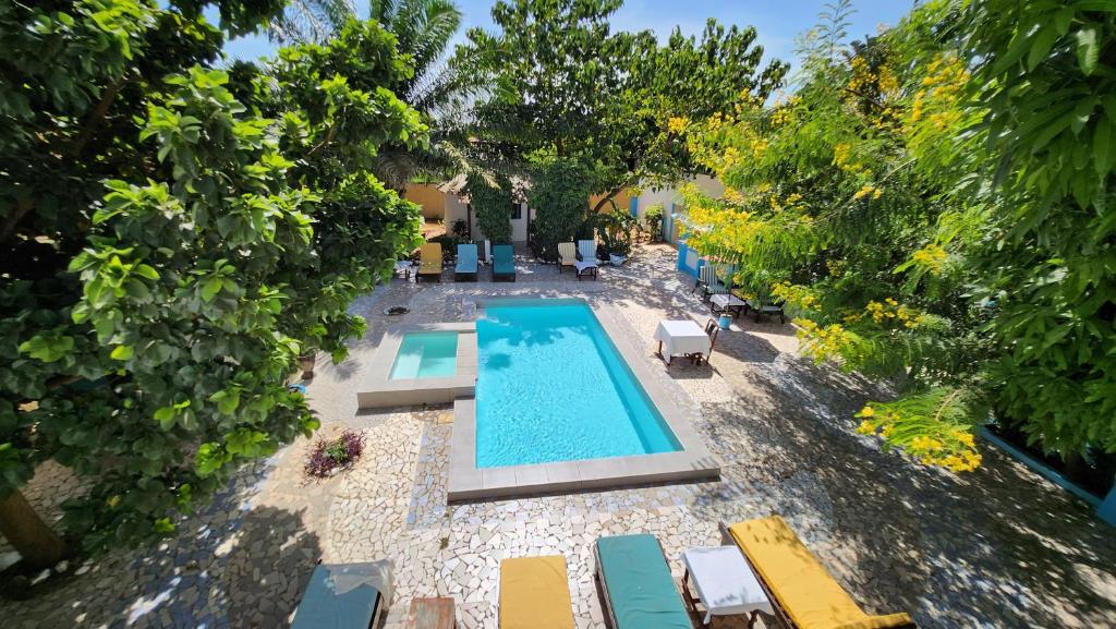 an overhead view of a swimming pool with chairs and trees at Mango Lodge Gambia in Brufut