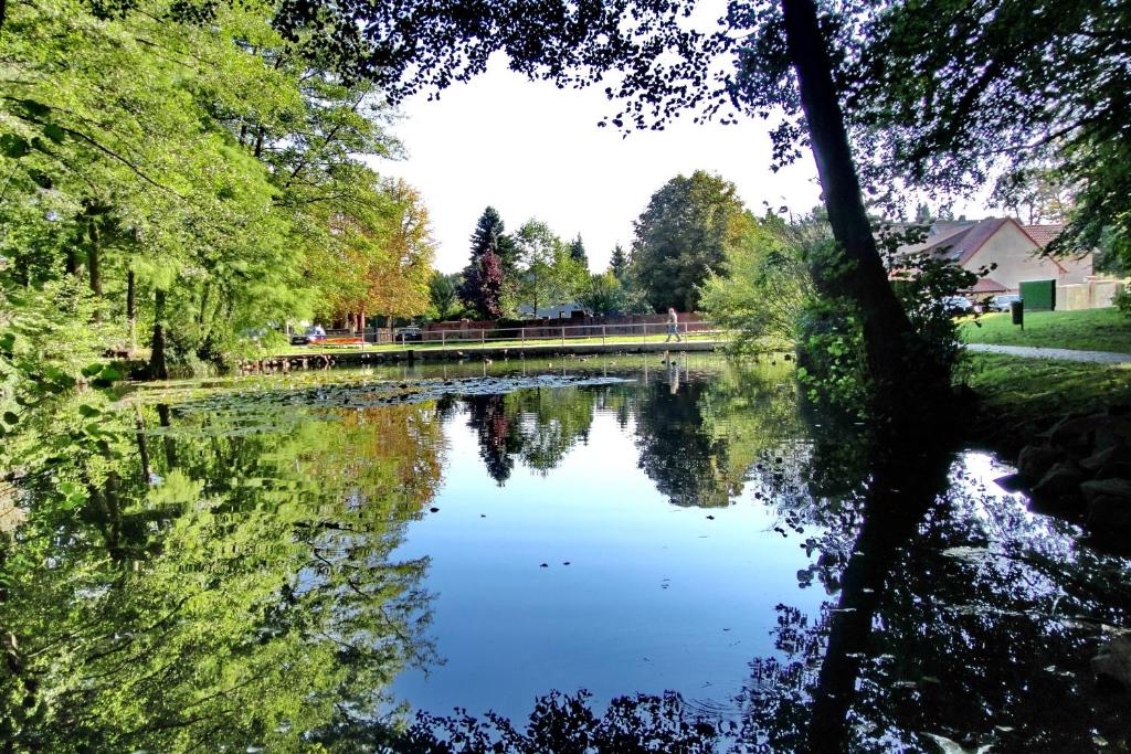 Příroda nedaleko apartmánu