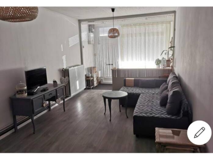 TV a/nebo společenská místnost v ubytování Vintage house ViVa