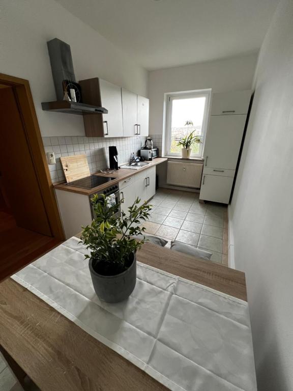 Kuchyň nebo kuchyňský kout v ubytování Ferienwohnung Haus Paraschiv
