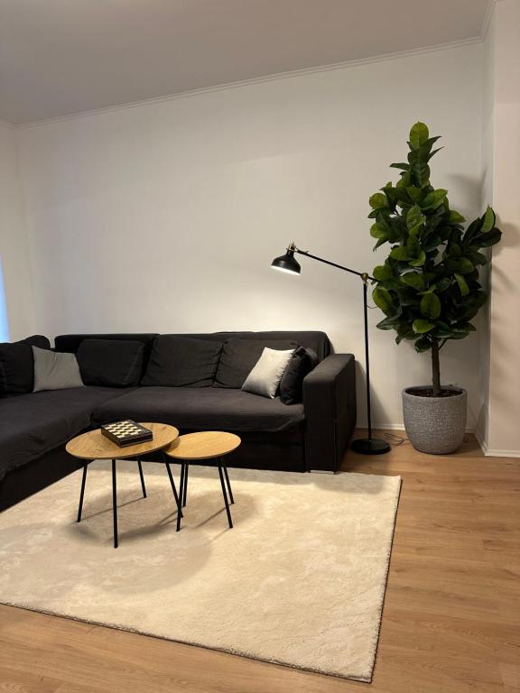 Posezení v ubytování Ferienwohnung Haus Paraschiv