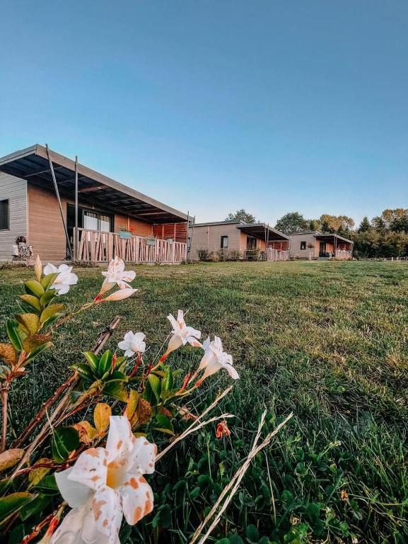 un champ de fleurs devant une maison dans l'établissement Auvergne chalets Sancy, à Bagnols