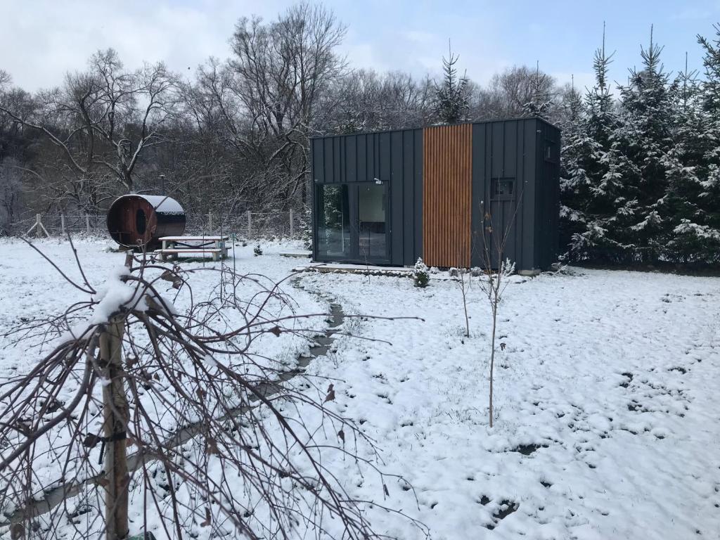 a small cabin in a snow covered field with trees at TinyHouses & Garden in Oravská Poruba