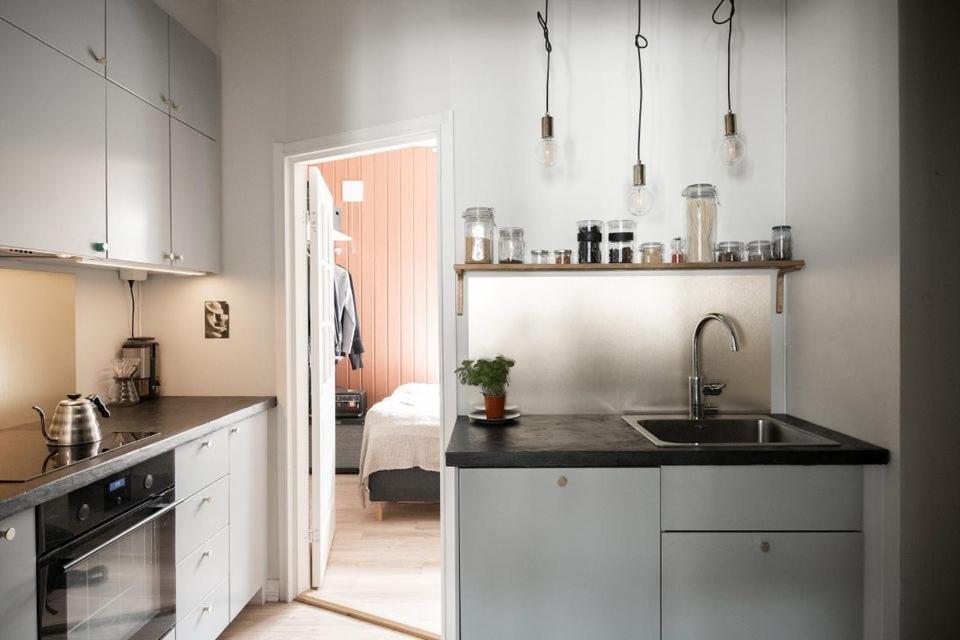 una cocina con armarios blancos y fregadero en Botanical garden apartments en Oslo