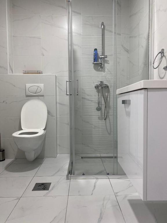 Koupelna v ubytování Apartman Alexandra