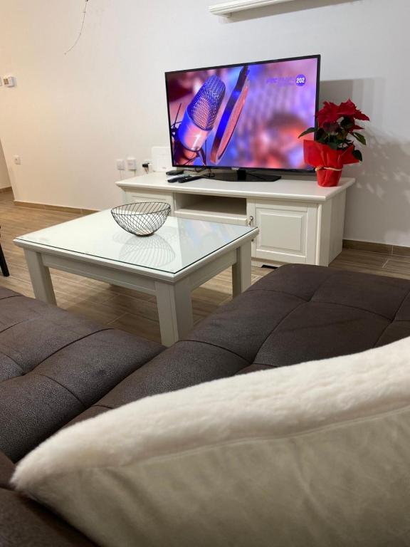 TV a/nebo společenská místnost v ubytování Apartman Alexandra