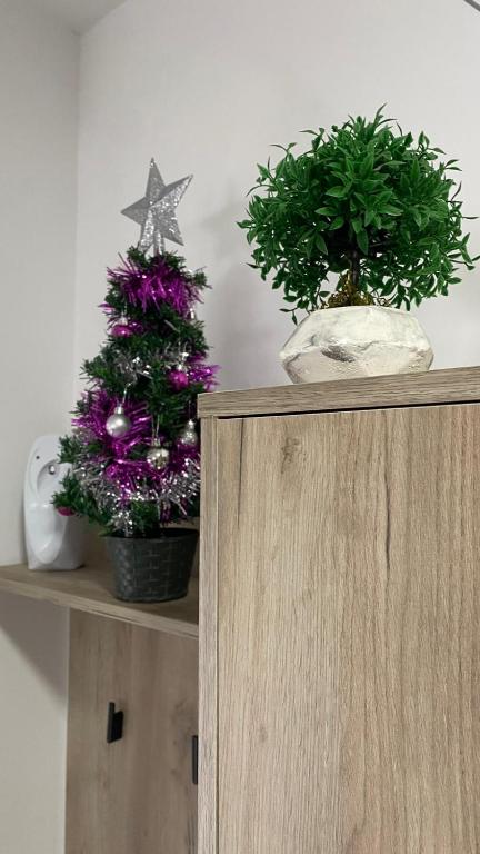 Imagen de la galería de Apartman Anastasija Divcibare, en Divčibare