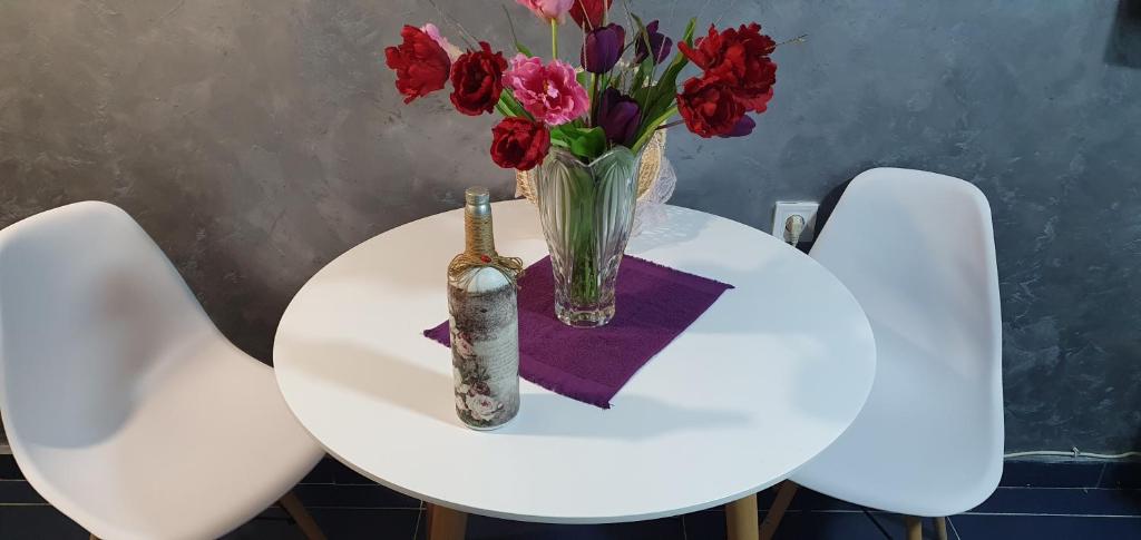 Cozzy apartment near the Aiport Podgorica - 2