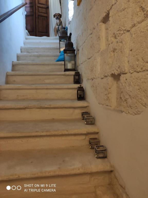 Kép Che Vista!! Ostuni ,sulle bianche mura con vista mozzafiato szállásáról Ostuniban a galériában