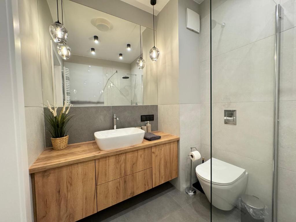a bathroom with a sink and a toilet and a mirror at Old Town Nadmotławie - Sauna & Gym I 10min deptak in Gdańsk