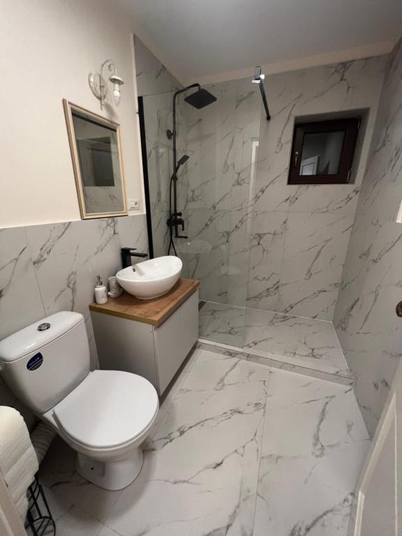 La salle de bains est pourvue de toilettes et d'un lavabo. dans l'établissement Apartament HERA, à Alba Iulia