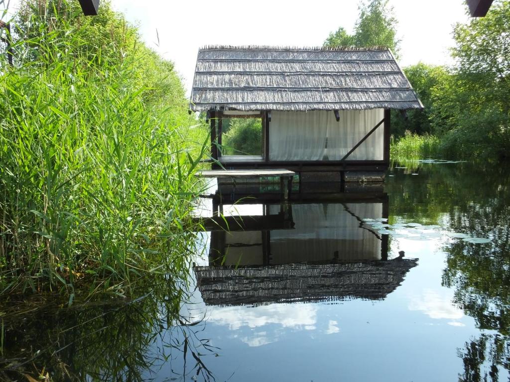 Příroda nedaleko kempu