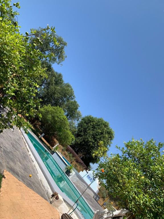 a swimming pool with trees on the side of it at Casa los Laureles in Pilas