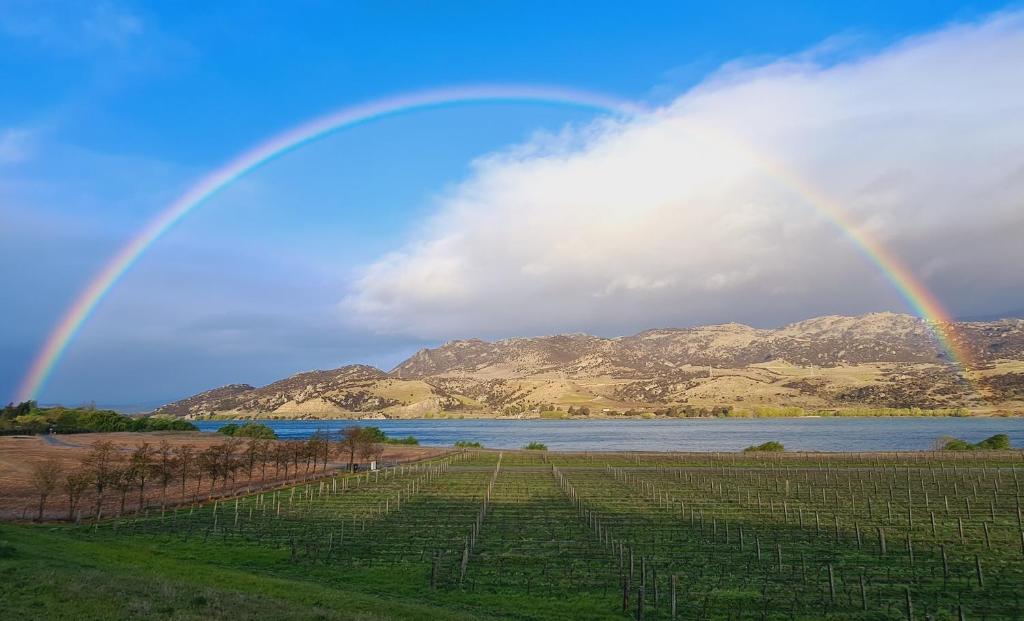 Glamping Dome - Pinot - Resim 17