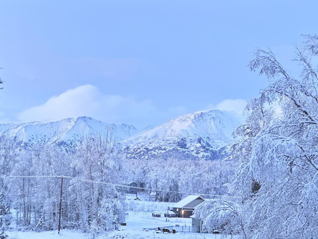 Beautiful and Comfy Palmer Gem Near Hatcher Pass v zimě