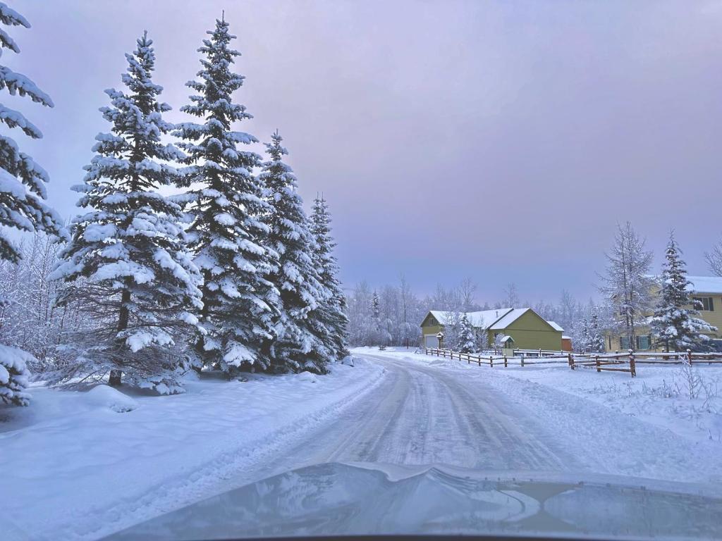 Beautiful and Comfy Palmer Gem Near Hatcher Pass v zimě