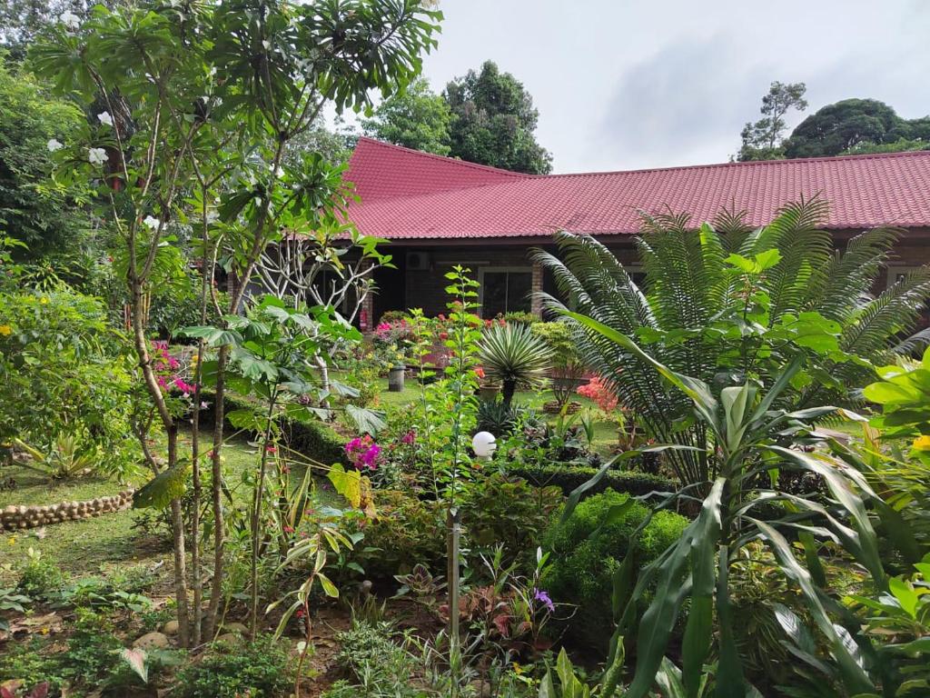 Zahrada ubytování Balai Serama Guesthouse