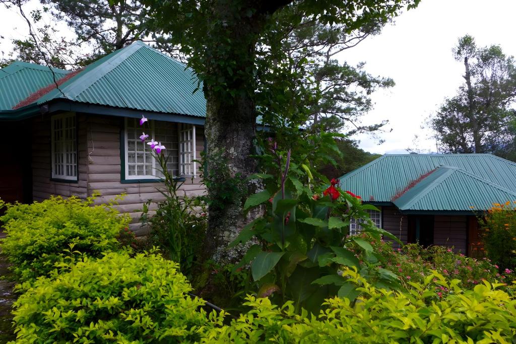 Zahrada ubytování Saint Joseph Inn