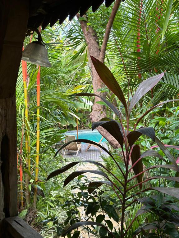 Zahrada ubytování Umakayu Joglo Villa Canggu - Boutique Hotel
