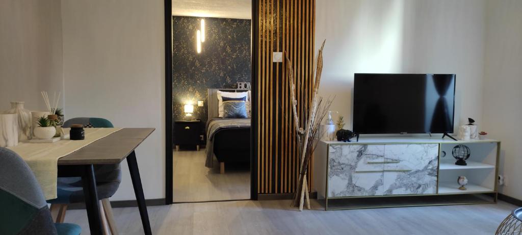 ein Wohnzimmer mit einem TV und ein Zimmer mit einem Bett in der Unterkunft Les Souvenirs d'Alsace in Colmar