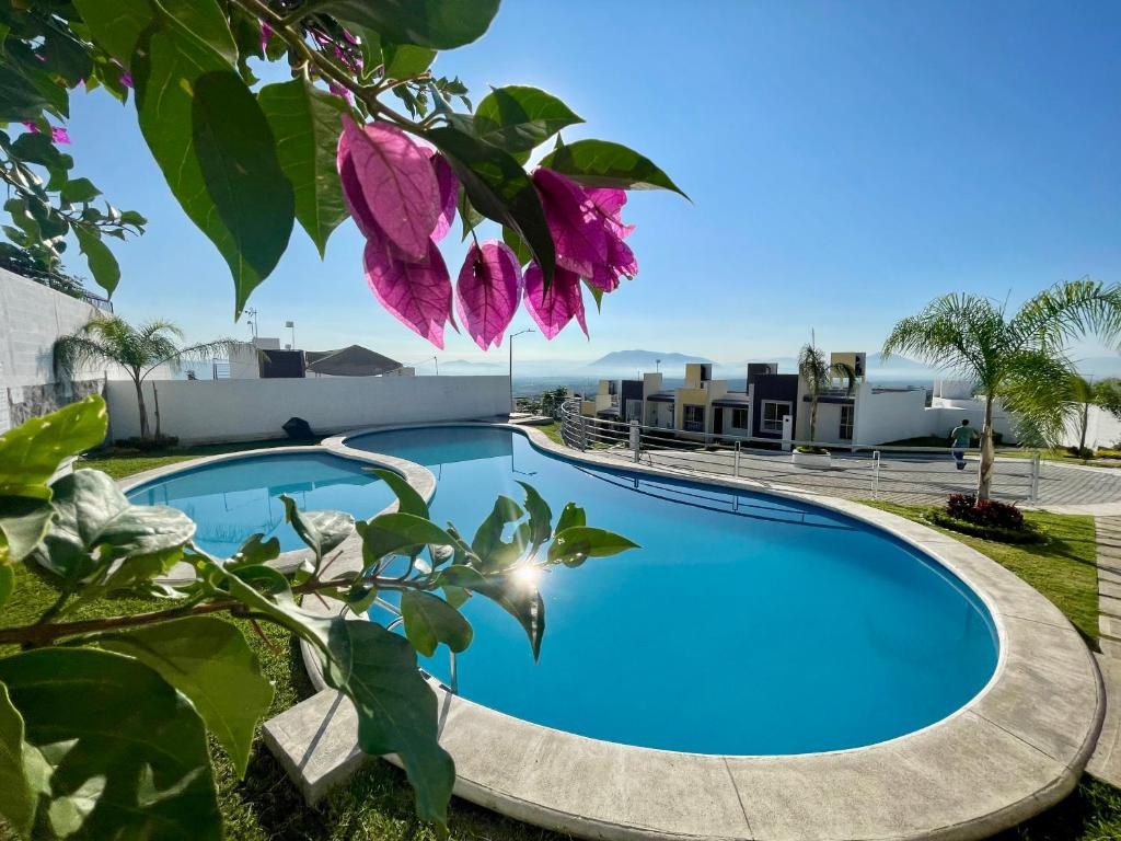 una piscina en un patio con una flor púrpura en Cueva del Oso, en Atlacholoaya