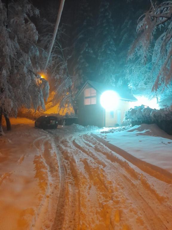 Rudnička čarolija en invierno