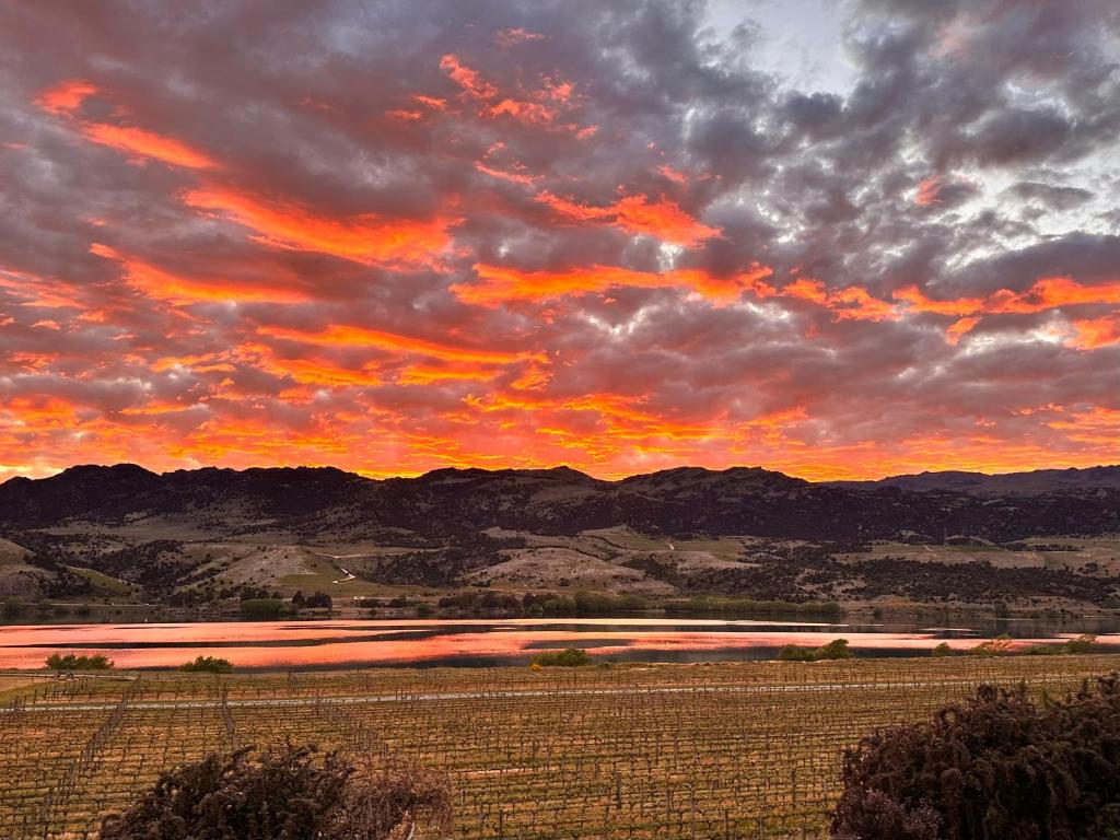 Glamping Dome - Pinot - Resim 19
