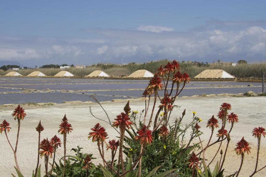 a bunch of flowers on a beach with water at Papparina House in Marsala