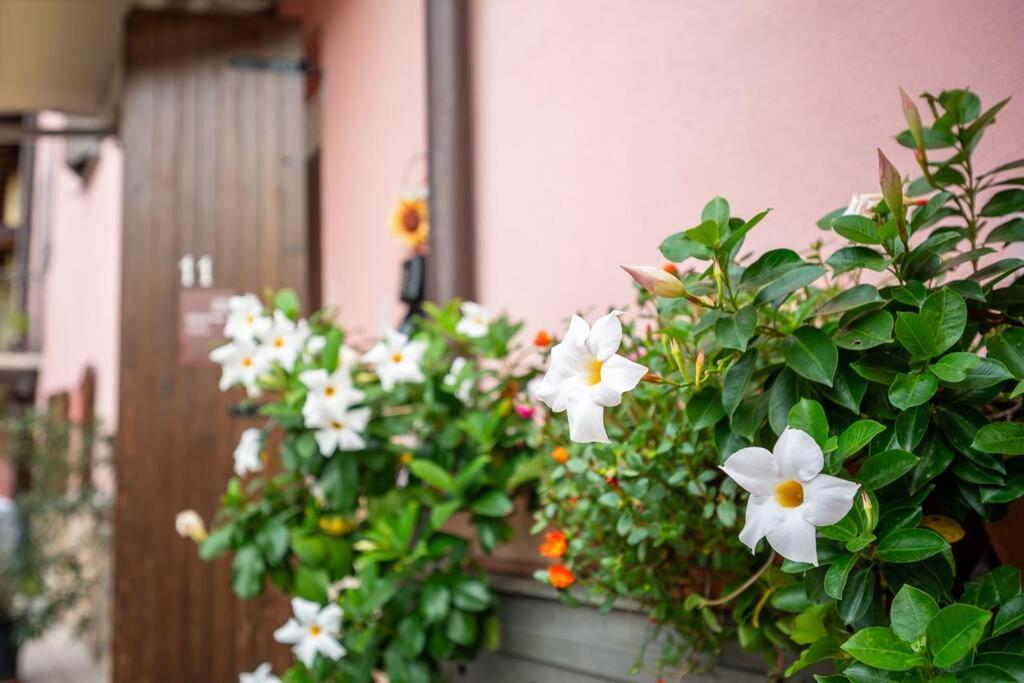 um ramo de flores brancas num vaso em casa vacanze la TORRETTA di Silvana & Valter em Seriate