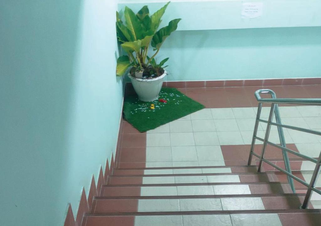 Pailin Hill Hotel Patong - Resim 31