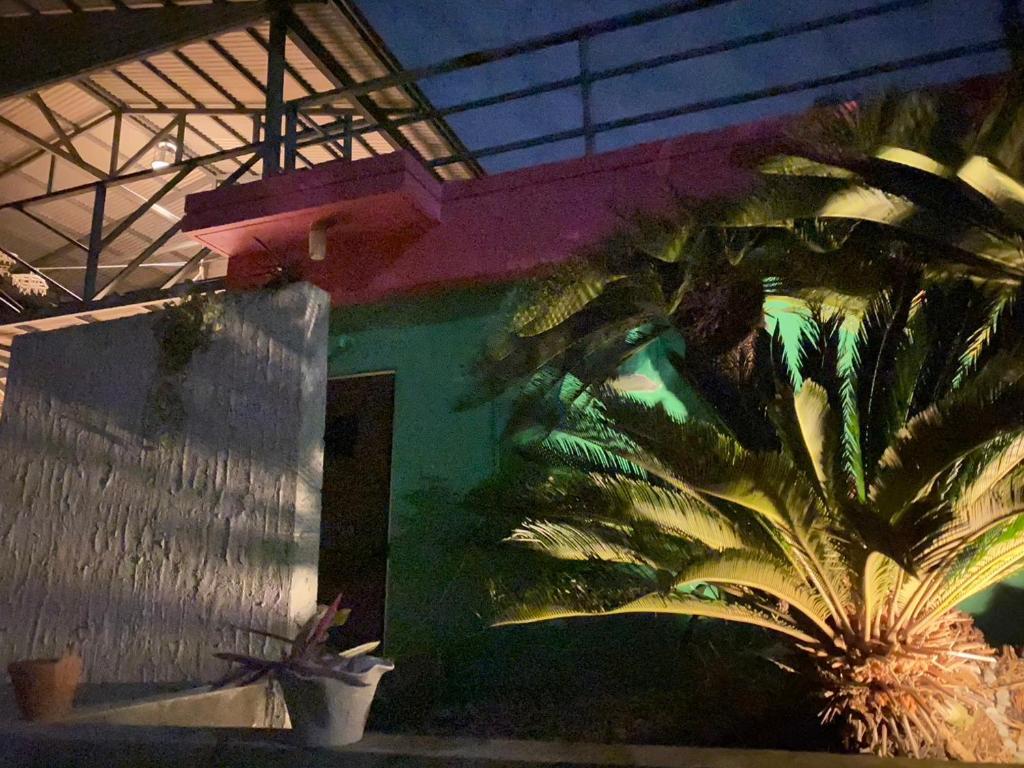 Fotografie z fotogalerie ubytování This is OKINAWA v destinaci Motobu
