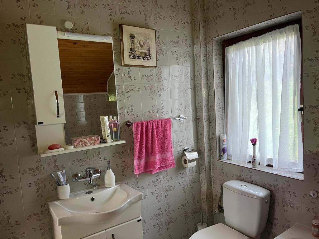 uma casa de banho com um WC, um lavatório e um espelho. em Zelena Oaza Krupanj em Krupanj