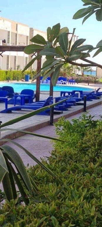Bazén v ubytování Cecelia Resort Hurghada nebo v jeho okolí