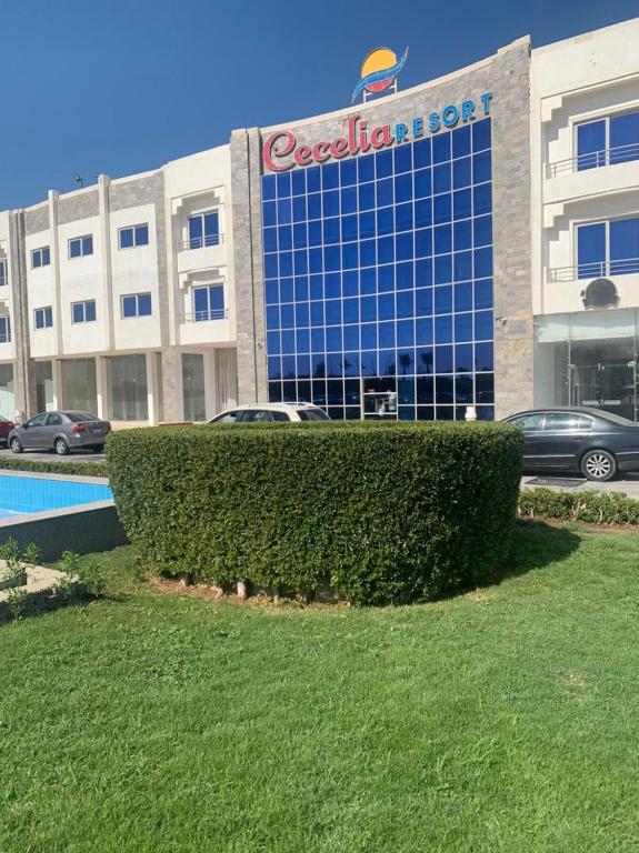 Bazén v ubytování Cecelia Resort Hurghada nebo v jeho okolí
