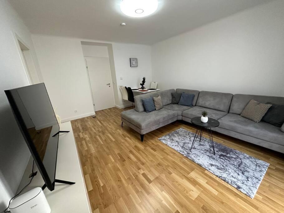 Gemütliche 2- Zimmer Apartment Nähe Neu Donau في فيينا: غرفة معيشة مع أريكة رمادية وتلفزيون