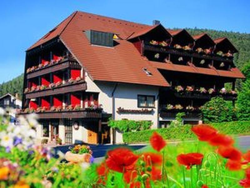 Gallery image of Hotel Schwarzwaldhof in Enzklösterle