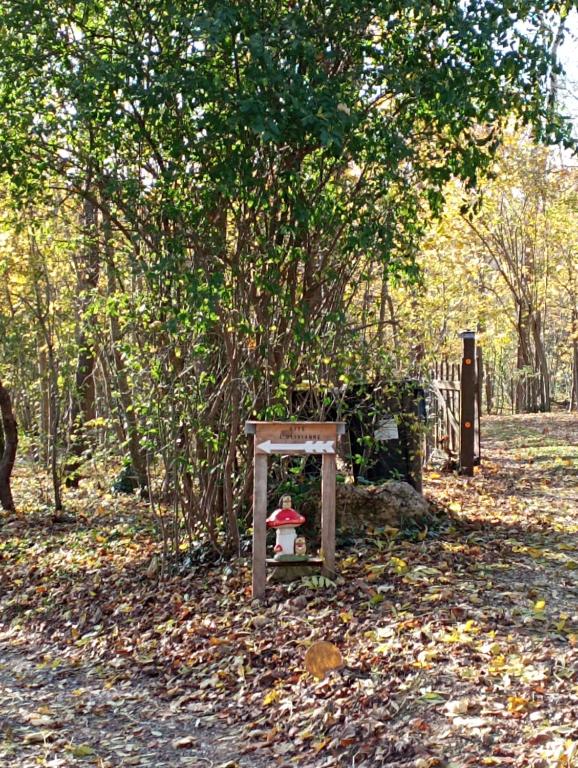 Zahrada ubytování Gîte l'Olivianne