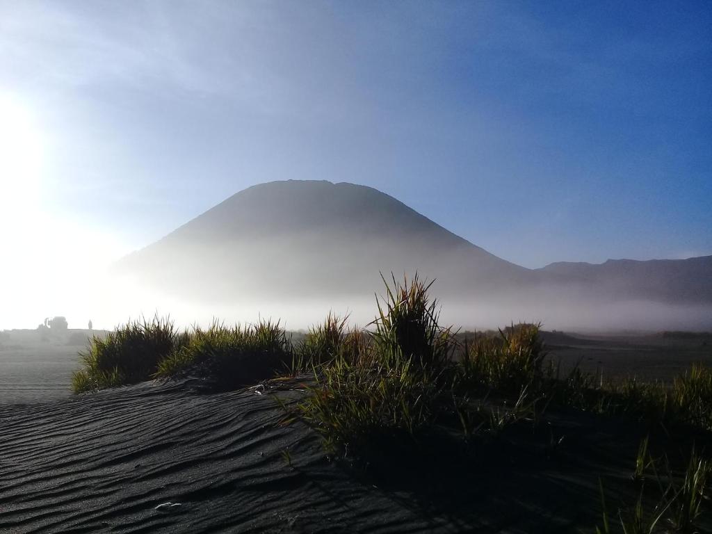 Bromo