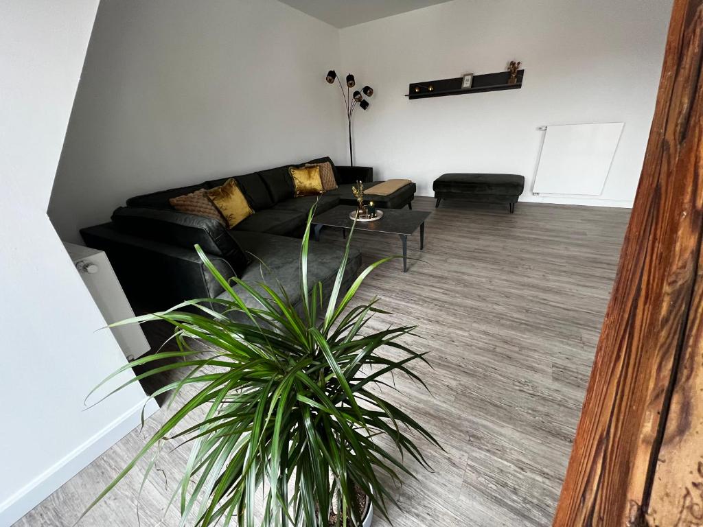 Ferienresidenzen Marktplatz - exklusive Ferienwohnungen mit Fahrstuhl - 3