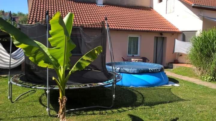 a blue trampoline in a yard next to a house at Relax apartman in Nagykanizsa