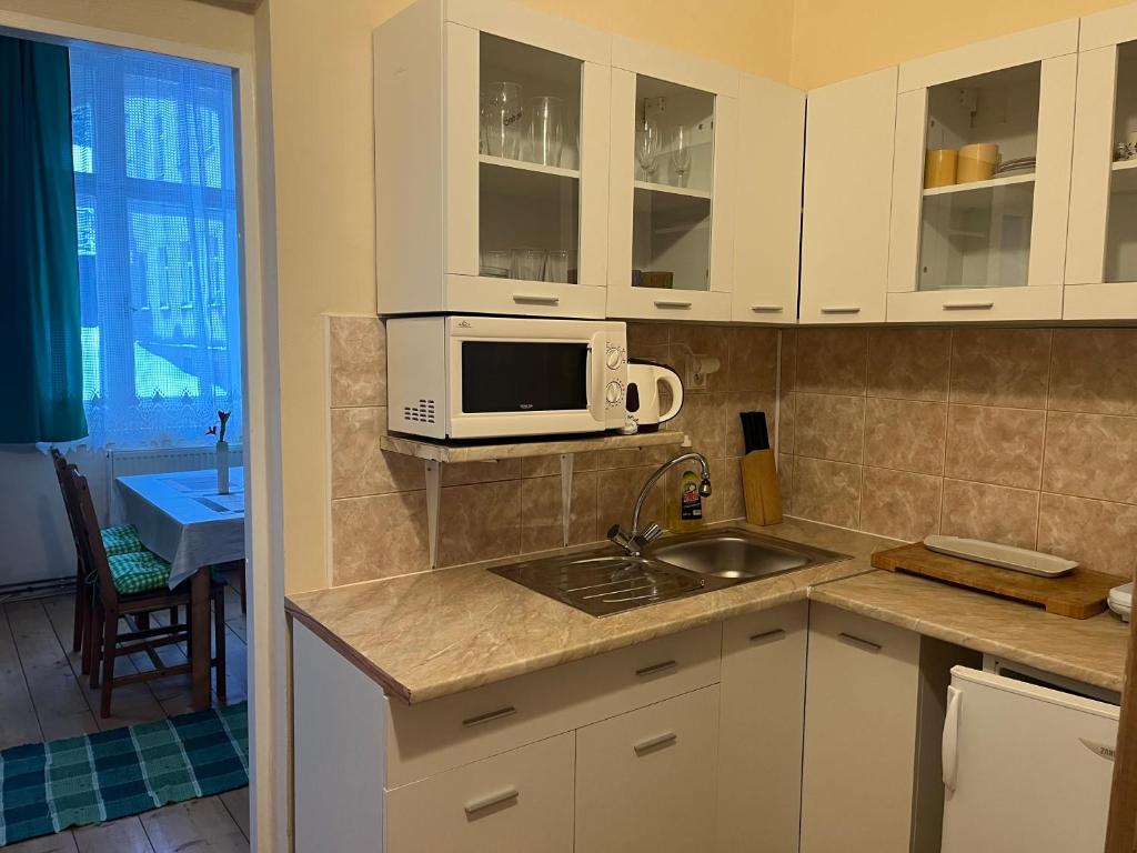 Kuchyň nebo kuchyňský kout v ubytování Vila Josefina Jizerské hory