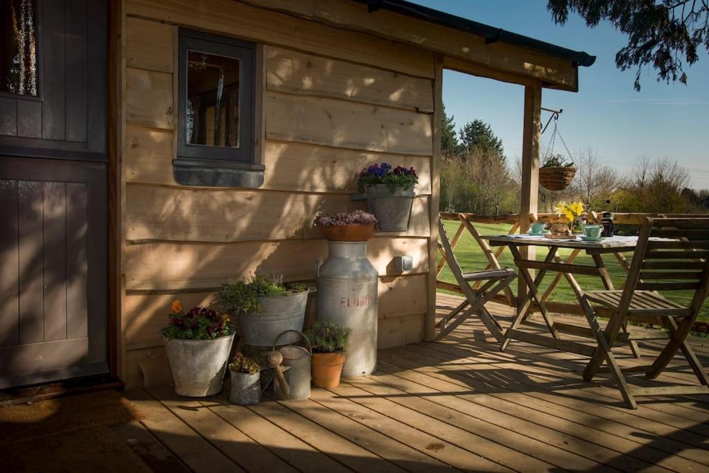 a house with potted plants on a deck at Cedarwood, an intimate and romantic cabin for two. in Icklesham