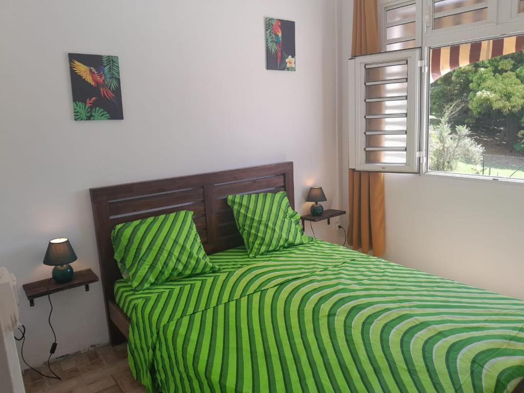 a bedroom with a bed with green sheets and a window at Kami lodge f3 jacuzzi in Rivière-Salée