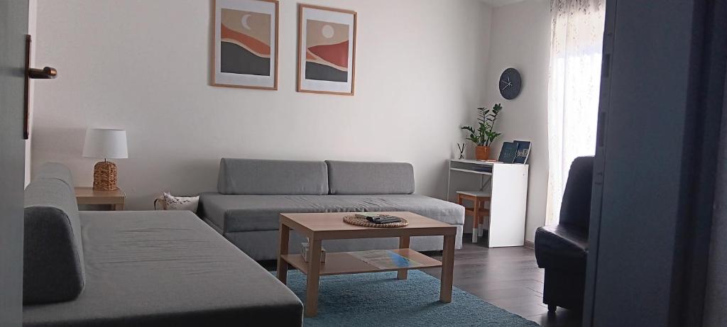 Posezení v ubytování Apartman Dunav